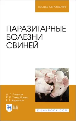 Смертельную болезнь у домашних свиней снова выявили рядом с Хакасией