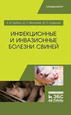 Африканская чума свиней: как не допустить заболевание — PINSKNEWS.BY