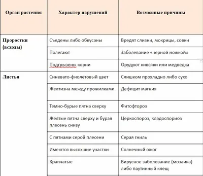 Фитофтороз томатов в теплице - причины, профилактика и методы борьбы с  заболеванием