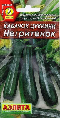 Купить семена Кабачок цуккини Белый рыцарь в магазине Первые Семена по цене  20 руб.