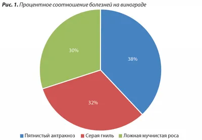 Весенняя обработка винограда: какие средства и когда использовать