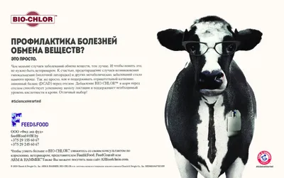 Все проблемы с выменем - Забота о здоровье коз, овец и коров - Козоводство  в Украине, России, СНГ: форум, хозяйства, рынок
