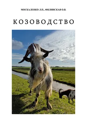 Как распознать и предупредить оспу овец и коз? — Управление ветеринарии  Ростовской области