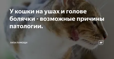 Баланопостит у мужчин: причины, симптомы, как выглядит, лечение,  профилактика в домашних условиях