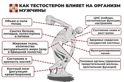 Психосоматика мужских заболеваний | #МУЖСКАЯ_ТЕМА | Дзен