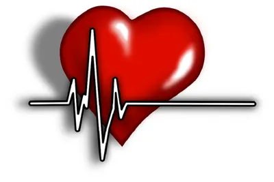 Почему болит сердце? Психология сердечной боли | Психология жизни и  самопознание | Дзен