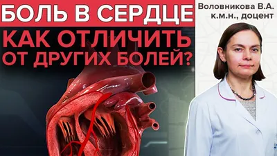 Сердечная недостаточность: симптомы, диагностика, лечение сердечной  недостаточности - Кардиологическое отделение – государственная больница НКЦ  №2 (ЦКБ РАН)