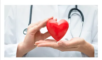 Здоровое сердце свиньи повело себя в организме пациента как больное  человеческое - Варнет