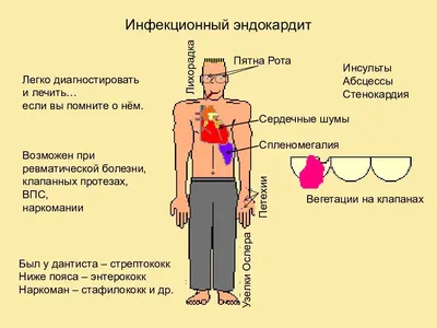 Галина Казантинова: «Больное сердце надо лечить сердцем…»