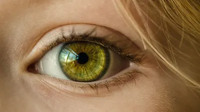 Биосовместимый клей может восстанавливать роговицу: через швы и через больные  глаза.