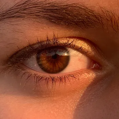 Какой цвет глаз? | Пикабу