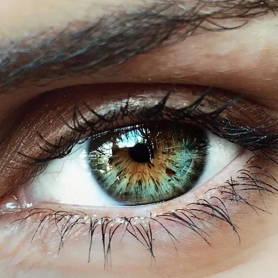 9 цветов глаз: какой есть всего у 600 людей на планете