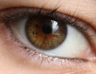 Девочка 11 лет глаза болотного цвета…» — создано в Шедевруме