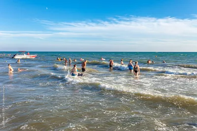 Море медуз | Большевик (Голопристанский район) | Фотопланета