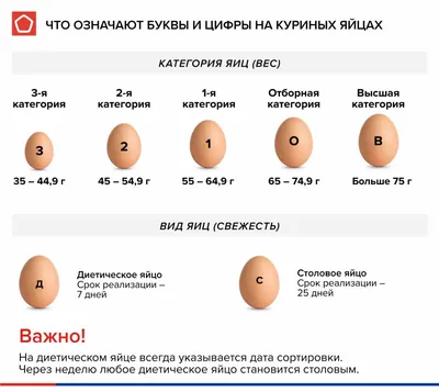 Очень большие \"яички\" / большие яички :: video / смешные картинки и другие  приколы: комиксы, гиф анимация, видео, лучший интеллектуальный юмор.