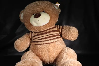80-100 см 1 м светящиеся гигантские заполненные полноразмерные большие  медведи Тедди Мягкие игрушки взрослая мягкая подушка подарок ко дню  рождения плюшевые куклы | AliExpress