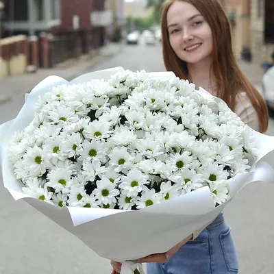 Большой букет хризантем//15 кустовых хризантем//девушке, на праздник, букет  просто так — купить в интернет-магазине по низкой цене на Яндекс Маркете