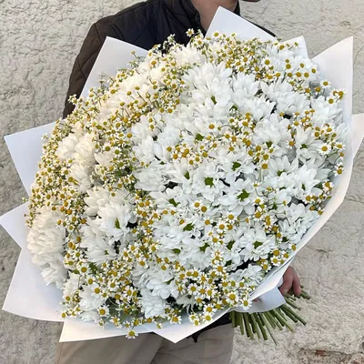 Букет из хризантем купить в Москве ✿ Заказать хризантемы недорого с  доставкой