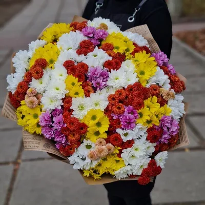 Букет из 15 хризантем №415 - 🌹 Цветы Новосибирск заказ: