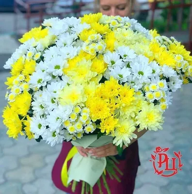 Хризантемы с Альстромериями заказать с доставкой в Челябинске - салон «Дари  Цветы»