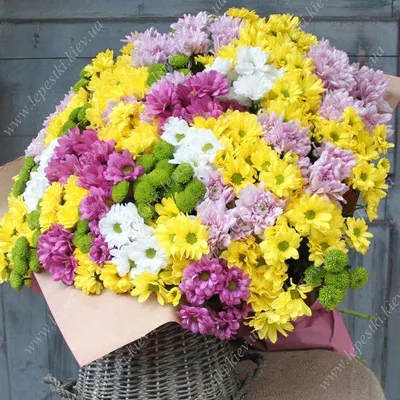 Букет роз с каллами и хризантемой купить с доставкой в СПб