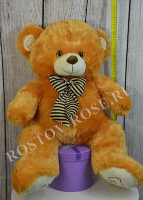 Большой плюшевый медведь Мягкая игрушка Медведь Соня большой к...: цена 931  грн - купить Мягкие игрушки на ИЗИ | Киев