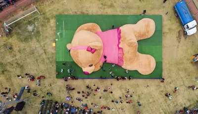 Самый большой плюшевый медведь | Пикабу