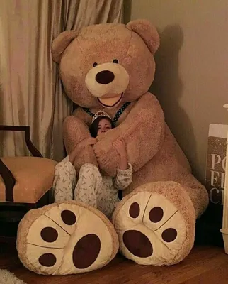 Большой плюшевый медведь MYBEARS.RU | Huge teddy bears, Large teddy bear,  Big teddy bear