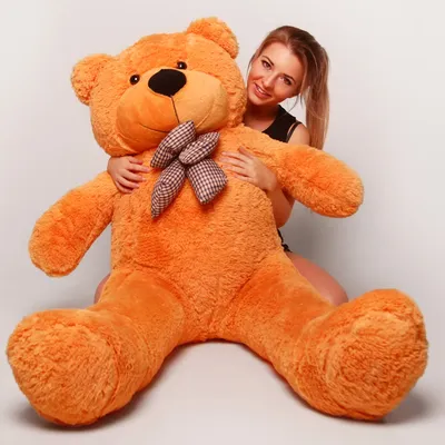 Большой плюшевый медведь 200 см MEDVEDI 62668216 купить за 2 160 700 сум в  интернет-магазине Wildberries