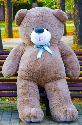 Купить большого плюшевого медведя в Минске | Подарочные наборы  Presentstudio.by