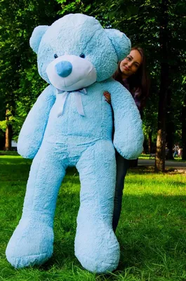 Большой плюшевый медведь, 80 см купить по цене 2997 ₽ в интернет-магазине  KazanExpress