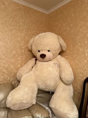 Плюшевый медведь. Большой плюшевый мишка. Мягкая игрушка ОР - 140 см  Кофейный - купить с доставкой по выгодным ценам в интернет-магазине OZON  (646737457)