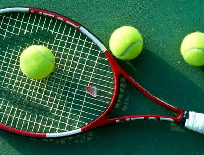 Большой теннис: турнир Джоковича и Надаля и другие причины играть | GQ  Россия