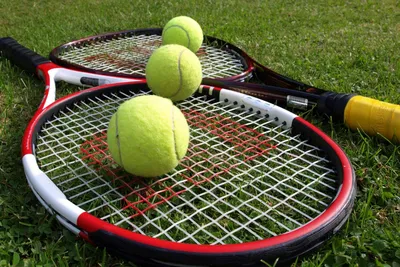 Большой теннис для маленьких: во что обойдется родителям вырастить звезду в  Беларуси — Блог Гродно s13