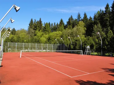 Большой теннис или бадминтон: что выбрать | chempionov.ru