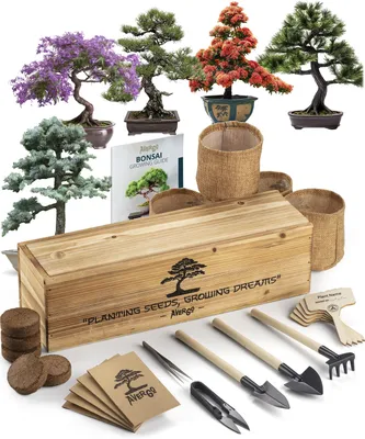 Flowering Bonsai Trees – Care Guide | Bonsai 2 U Blog