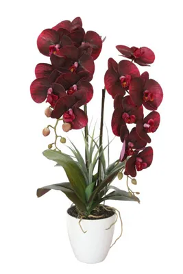 Орхидея ветка латексная бордовая искусственная премиум (ID#1521200633),  цена: 224 ₴, купить на Prom.ua