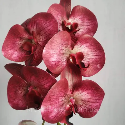 Цветок искусственный Fuzhou Light в горшке орхидея бордовая 40 см - купить  декор со скидкой в Твой Дом