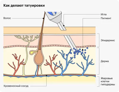 Бородавки - виды, лечение, причины, симптомы и диагностика бородавок