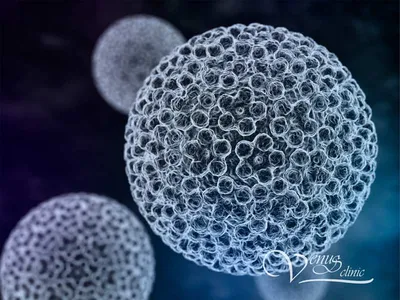 Что вы можете сделать, чтобы предотвратить рак, вызванный вирусом папилломы  человека (HPV) | Memorial Sloan Kettering Cancer Center