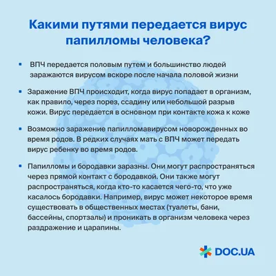 Популярные мифы о ВПЧ: в какие заблуждения не стоит верить, как все обстоит  в реальности