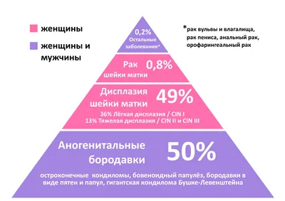 Вирус папилломы человека (ВПЧ) симптомы и профилактика | ПРАВДИВАЯ  ОНКОЛОГИЯ | Дзен