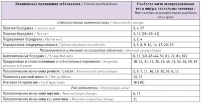 ВПЧ, вирус папилломы человека: признаки, симптомы, лечение