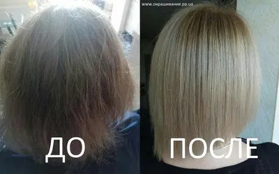 KV-1 холодный ботокс для волос в Москве цены салона красоты