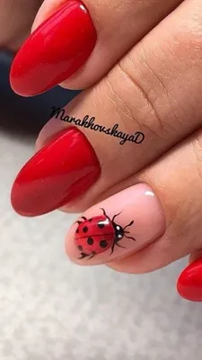 Pin by Мартина Мбог on Маникюр Божья коровка | Ladybug nails, Nail art  designs, Ladybug nail art