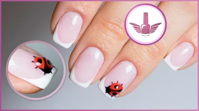 Nail design: French gel with lacquer. French manicure Ladybug - YouTube