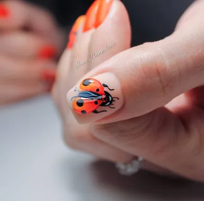 Божья коровка маникюр (ФОТО) - Идеальный дизайн ногтей для особого события  - trendymode.ru
