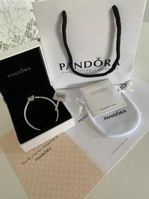 Pandora Срібний браслет Pandora Reflexions 597712-17 17 см от продавца:  Шарми та браслети – в интернет-магазине ROZETKA | Купить в Украине: Киеве,  Харькове, Днепре, Одессе, Запорожье, Львове