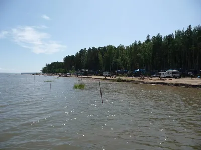 Золотые пески братское водохранилище (70 фото) - 70 фото