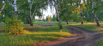 Золотые пески, 2023. Братское море ( с. Рассвет, Осинский район, Иркутская  область) - YouTube